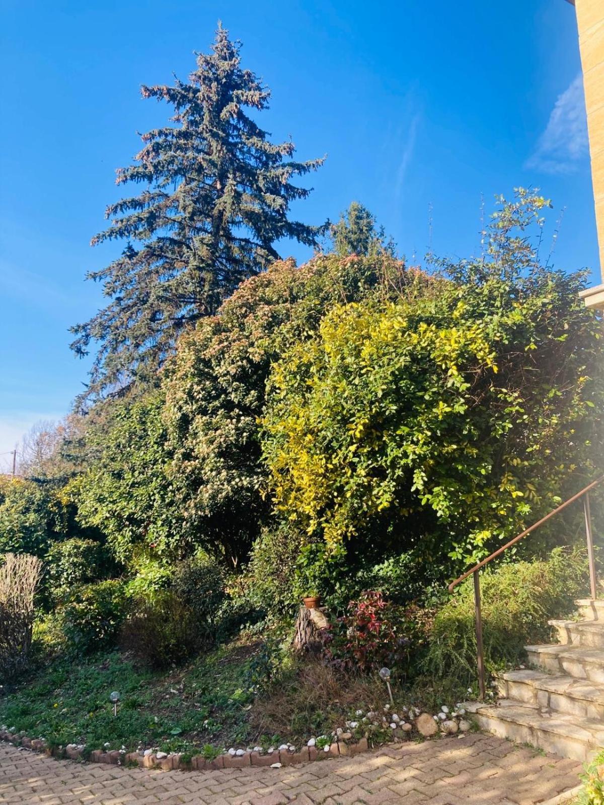 La Petite Noix Sarlat-la-Canéda Exterior foto
