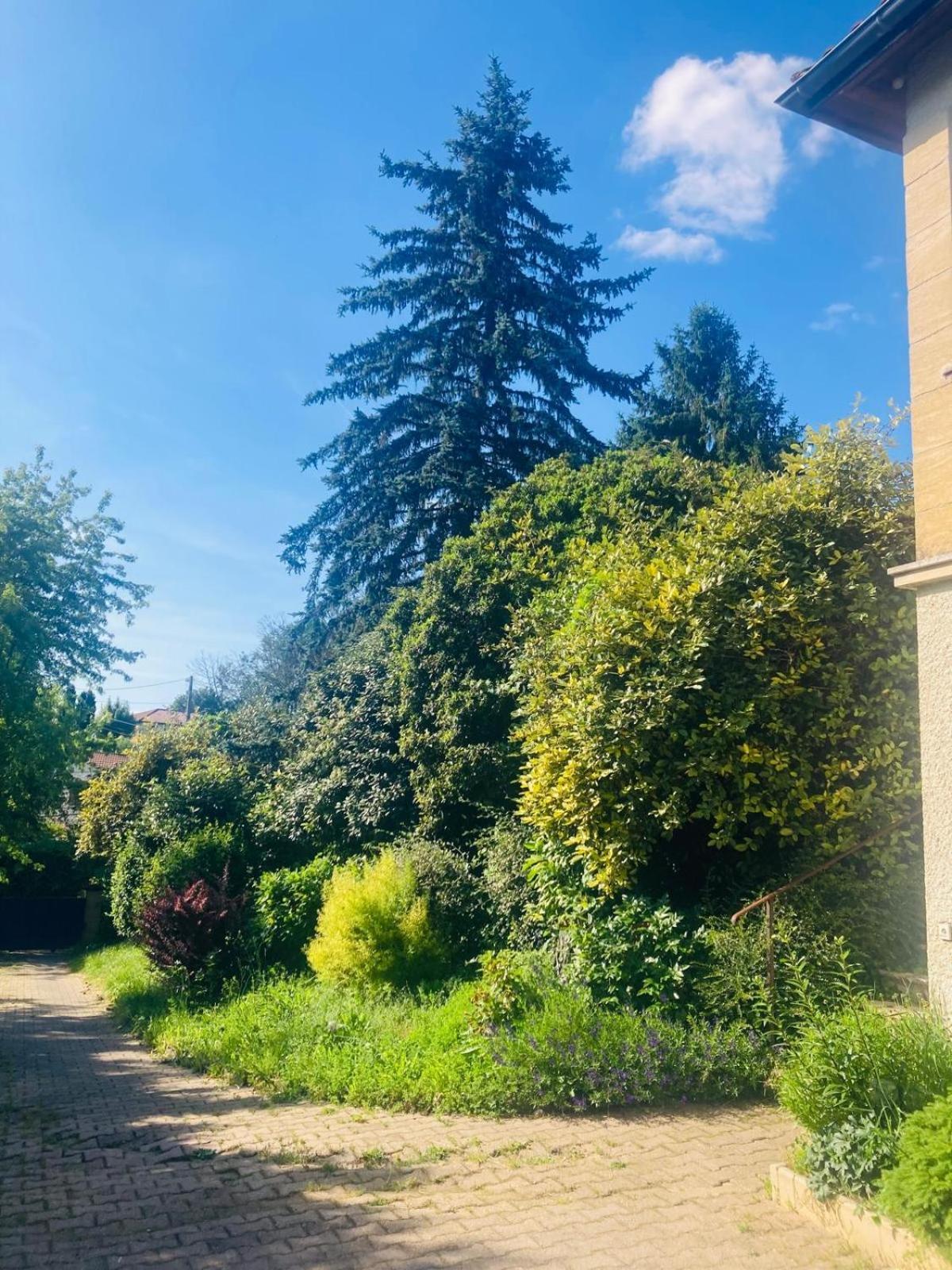 La Petite Noix Sarlat-la-Canéda Exterior foto